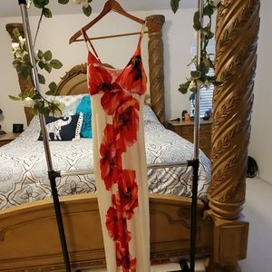 NWT Charming Charlie Dress